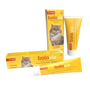 BOLO VIA PASTA 50 ML CANDIOLI AMBALAJ