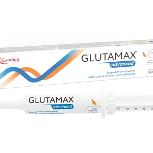 GLUTAMAX ADVANCED PASTA 30 ML CANDIOLI AMBALAJ