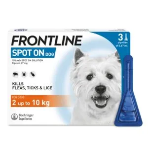 Frontline Dog