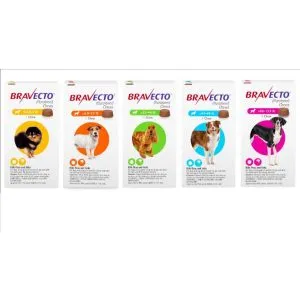 Bravecto Chewable